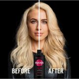 SYOSS Coloriste Shampoo 6x 440ml - Grootverpakking