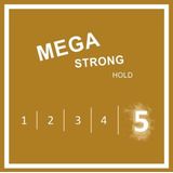 6x Taft Junior Hairspray Mega Strong 250 ml