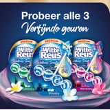 Witte Reus Toiletblok - Wellness Scents - Vitality - WC Blok- Voordeelverpakking - 2 x 10 Stuks - 20 Stuks