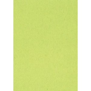 Gekleurd Tekenpapier - Lichtgroen - 120 g - Pak van 500 Vel