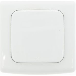 Profielen 423000074 draadloze wisselschakelaar, wit