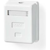 CCGB89100WT - Wandcontactdoos - UTP CAT6 - Goud Verguld - PVC - Wit