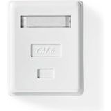 CCGB89100WT - Wandcontactdoos - UTP CAT6 - Goud Verguld - PVC - Wit