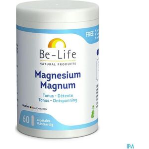 Be-Life Magnesium 500 90 softgels