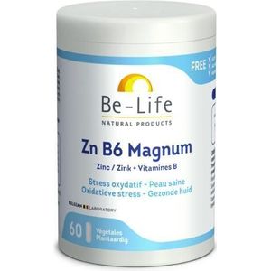 Zn B6 Magnum Minerals Be Life Gel 60