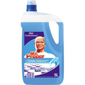 Mr Proper allesreiniger oceaan fles van 5 liter