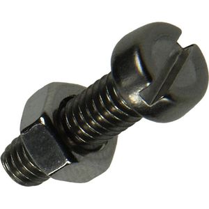 Metaalschroef +moer. M6 x 20mm. lang. RVS-A2. 5 Stuks. Bouten en moeren. Sam.