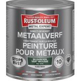 Rust-Oleum Metal Expert Direct Op Roest Metaal Verf 250ml - RAL 6005