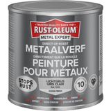 Rust-Oleum Metalexpert Direct Op Roest Metaalverf - Gloss - Ral7035 250 Ml In Blik