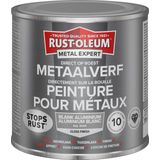 Rust-Oleum Metal Expert Direct Op Roest Metaal Verf 250ml - RAL 9006