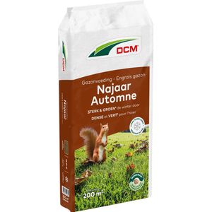 DCM GAZON NAJAAR 10KG