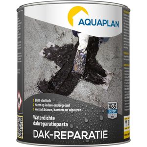 Aquaplan Dakreparatie 1 Kg | soepele waterdichte reparatiepasta