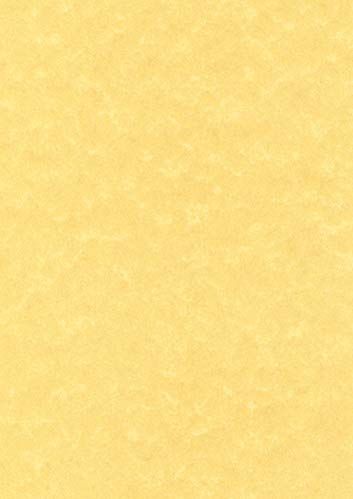 Apli - Handwerk Papier - Gouden - A4 - 50 Lakens - 165 g/m²