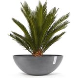 ECOPOTS Blumentopf »VIENNA Grey«, BxTxH: 70x70x25,5 cm