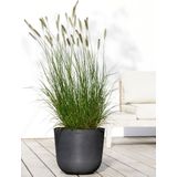 ECOPOTS Blumentopf Oslo 35 Dunkelgrau, für innen und außen: frostsicher, bruchsicher und lichtbeständig