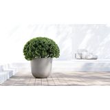Ecopots - Oslo 65 - Ronde Bloempot - Taupe - Ø65 x H56,6 cm