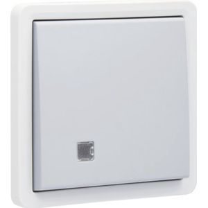Niko Hydro tweepolige controleschakelaar Grijs