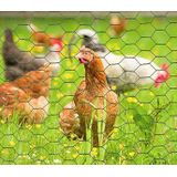 Kippengaas - groen geplastificeerd - op rol - 100 cm - 5 meter