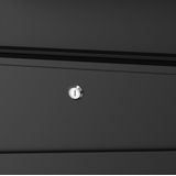 Practo Garden - Brievenbus - Zwart - Wandbrievenbus - Dijon