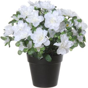 Louis Maes Azalea Kunstbloemen - In Pot - Wit - H28 cm