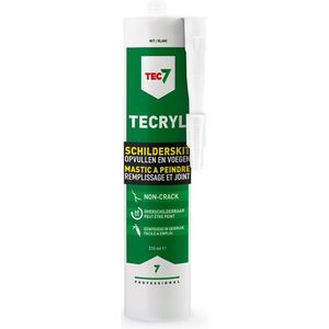 Tec7 Tecryl professionele schilderskit (Acrylaatkit)- 528100000