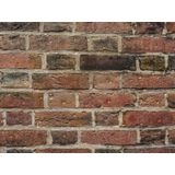 Tec7 - WP7-401 - Gevel Waterdicht - Wit/Geelwit - 5L