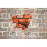 TEC7 - WP7-501 - Kelder + Muur Waterdicht - 10KG + 1L - Polymeer Cement Coating