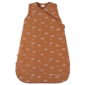 NOUKIES - Winterslaapzak 1-6 maanden (70 cm) – slaapzak TOG 2 tot 3,5 cm – ritssluiting – jersey – karamel zon
