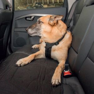 Duvo+ Veiligheidsharnas Hond Auto 85-110cm