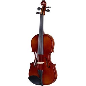 Stagg Viool VN-4/4 EF