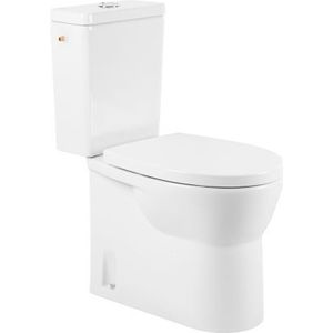 Aquavive Duoblok Toilet Cormor I Universele Afvoer I Randloos Toiletpot Wit