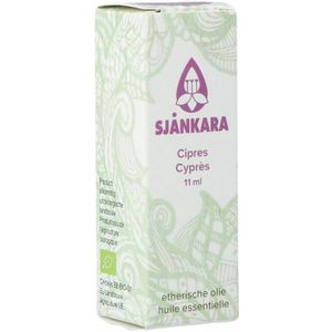 Geneesmiddelen - Cupressus Sempervirens - Blad - Afkomstig uit Spanje