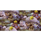 Good Vibes Behang Coral and Tropical Fish geel en paars