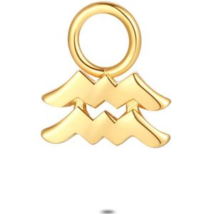 Twice As Nice Oorring hanger in 18kt verguld zilver, sterrenbeeld, waterman