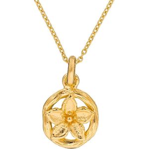 Orphelia - Dames Ketting met Hanger - Goud - 925 Sterling Zilver