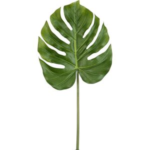 J-Line Philodendron 'Real Touch' Blad - kunststof - groen - 12 stuks