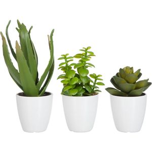 J-Line vetplant/Aloe Vera/Lotus + Pot - kunststof - groen/melamine - small - 3 stuks