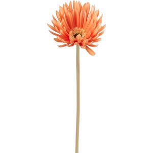 J-Line bloem Gerbera Virgin - kunststof - oranje - 12 stuks