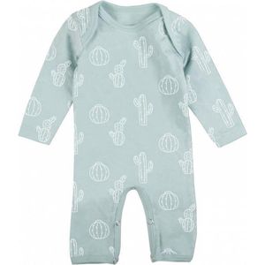 Plum Plum - boxpakje - cactus - old green