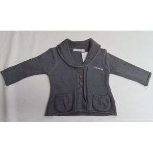 Gilet -Meisje - Fijn gebreid - Grijst - 18 maand 86