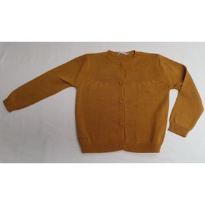 Gilet - Meisje - Fijn gebreid - Oker - 4 jaar 104