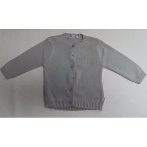 Gilet - Meisje - Fijn gebreid - Licht grijst - 1 jaar 80