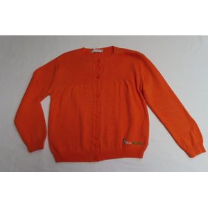 gilet - Meisje - Fijn gebreid - Oranje - 4 jaar 104