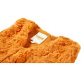 Someone - HIVER - Gilet - burnt cognac