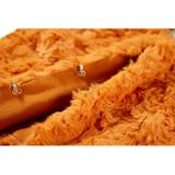 Someone - HIVER - Gilet - burnt cognac