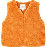 Someone - HIVER - Gilet - burnt cognac