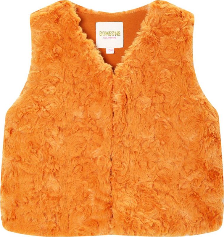 Someone - HIVER - Gilet - burnt cognac