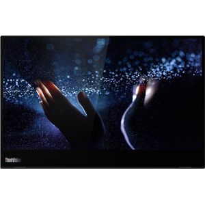 Lenovo M14t LED display 35,6 cm (14") 1920 x 1080 Pixels Full HD Touchscreen Zwart