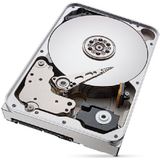 Seagate IronWolf Pro ST12000NT001 interne harde schijf 12 TB 7200 RPM 256 MB 3.5" SATA III
