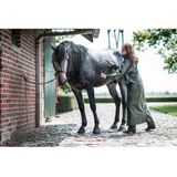 Helsinki - Mantel - Groen - Flexothane® - Volledige Lengte